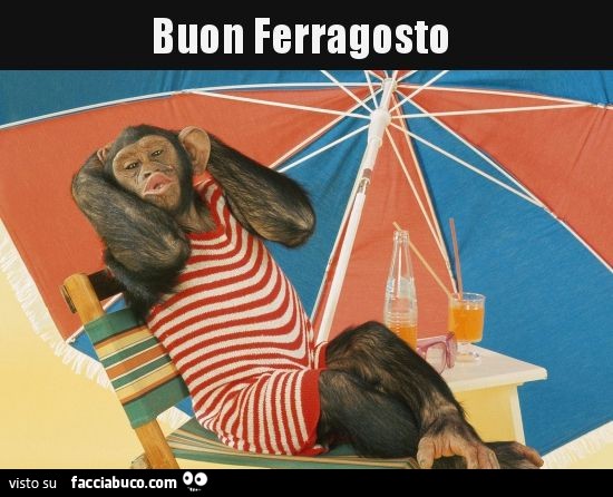 Buongiorno Facciabuco Buon Ferragosto A Tutti Oggi Si Sono Pi