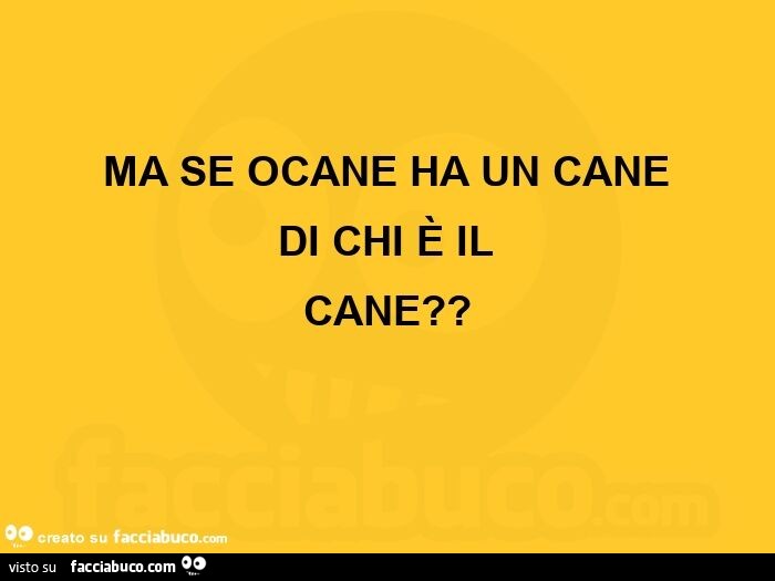 Ma Se Ocane Ha Un Cane Di Chi Il Cane Facciabuco