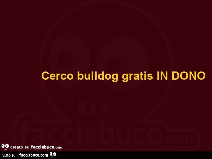 Cerco bulldog gratis in dono