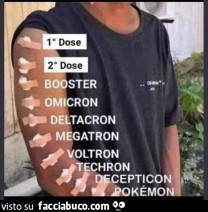 Vaccata