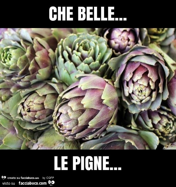 Che belle… le pigne