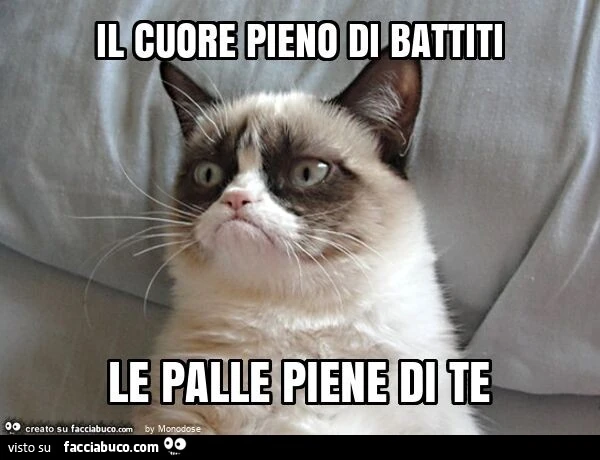 Il cuore pieno di battiti le palle piene di te