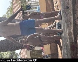 Vaccata