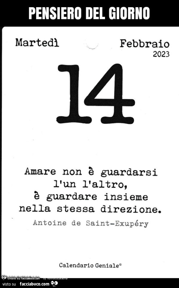 Pensiero del giorno. Amare non è guardarsi l'un l'altro, è guardare insieme nella stessa direzione. Antoine de Saint-Exupéry