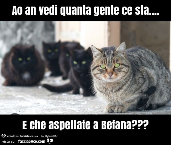 Ao an vedi quanta gente ce sta… e che aspettate a befana?