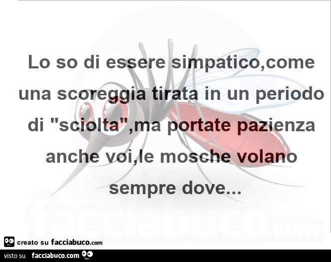 Lo so di essere simpatico, come una scoreggia tirata in un periodo di sciolta, ma portate pazienza anche le mosche volano sempre dove