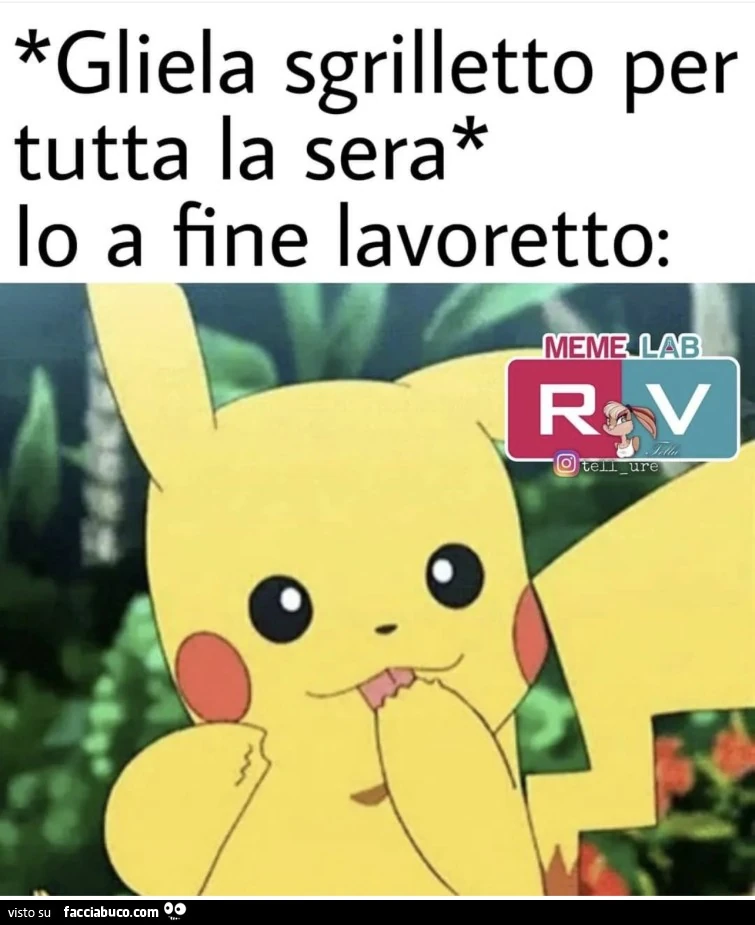 Vaccata