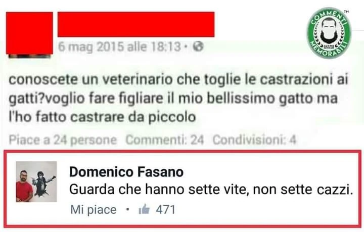 Gatti castrati