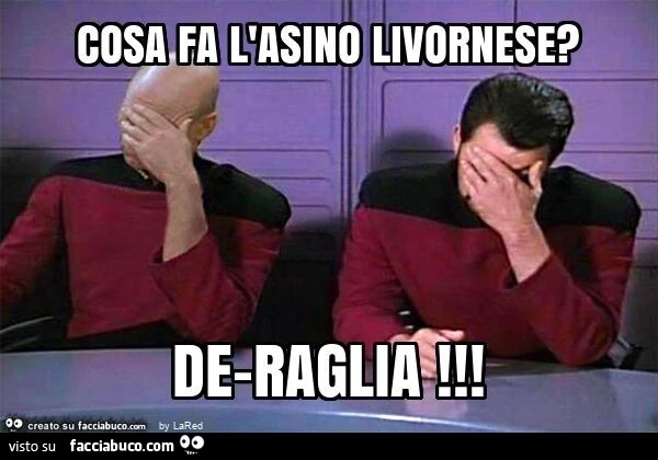 Cosa fa l'asino livornese? De-raglia