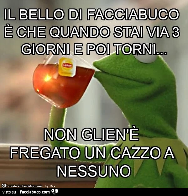 Il bello di facciabuco è che quando stai via 3 giorni e poi torni&hellip; non glien'è fregato un cazzo a nessuno