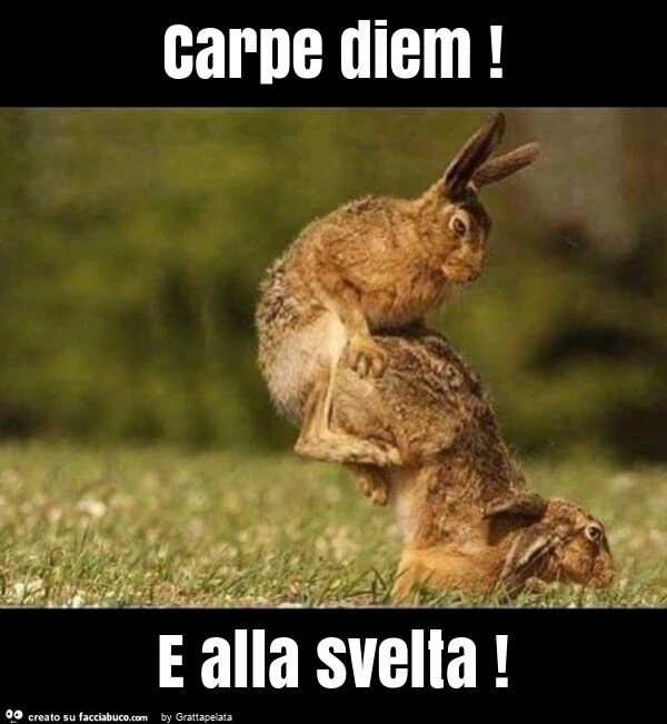 Carpe diem! E alla svelta