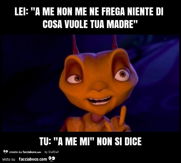 Lei: "a me non me ne frega niente di cosa vuole tua madre" tu: "a me mi" non si dice