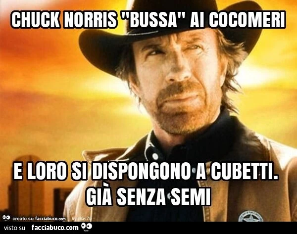 Chuck norris "bussa" ai cocomeri e loro si dispongono a cubetti. Già senza semi