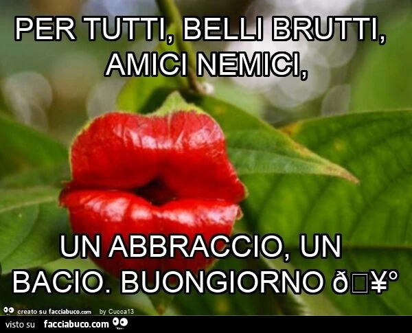 Per tutti, belli brutti, amici nemici, un abbraccio, un bacio. Buongiorno 🥰