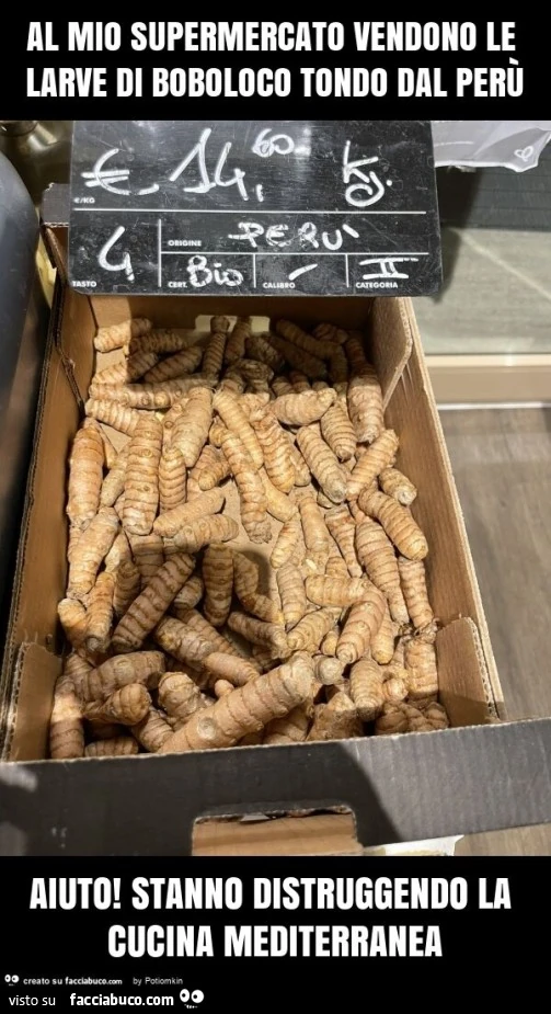 Al mio supermercato vendono le larve di boboloco tondo dal perù aiuto! Stanno distruggendo la cucina mediterranea