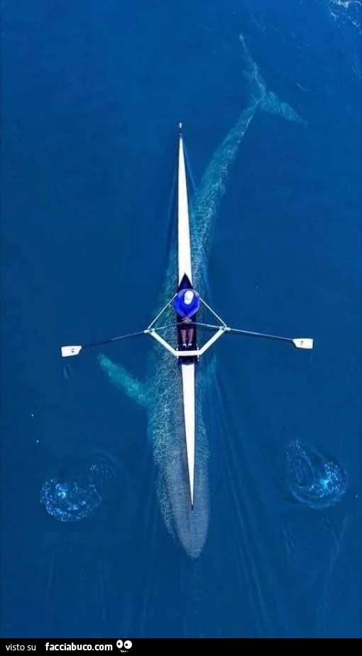 Canoa per uno