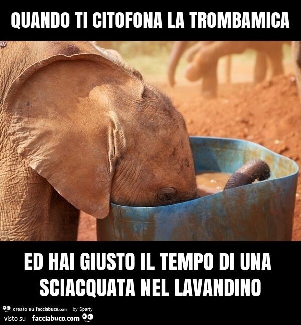 Quando ti citofona la trombamica ed hai giusto il tempo di una sciacquata nel lavandino