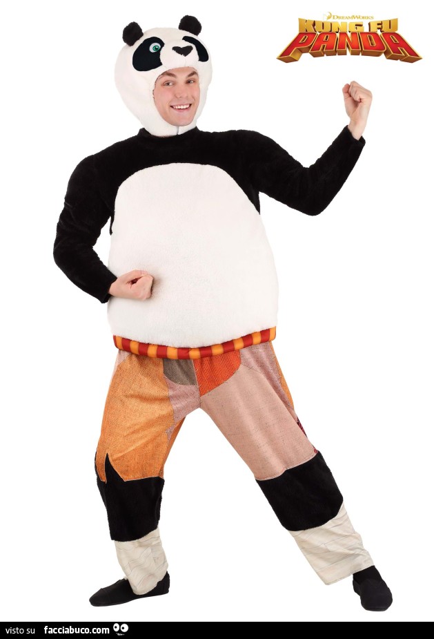 Vestito da Kung Fu Panda