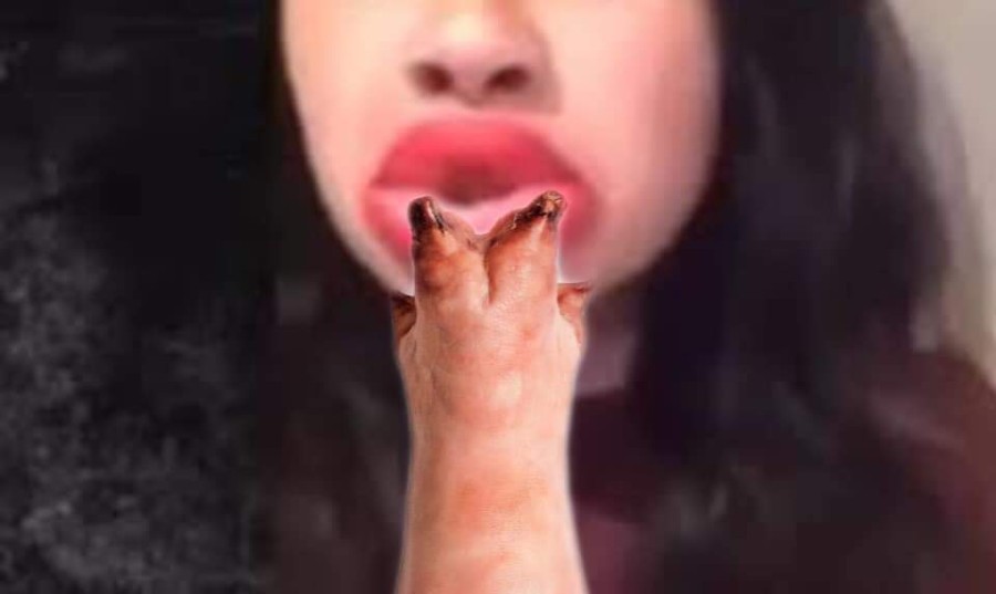 Donna Porcella