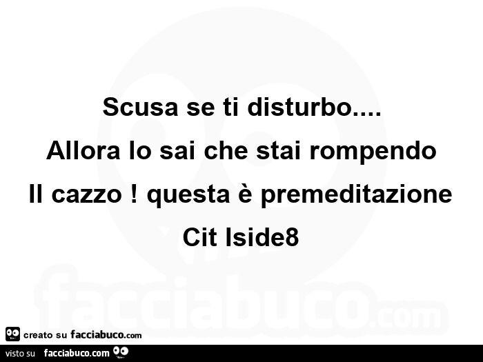 Scusa se ti disturbo… allora lo sai che stai rompendo il cazzo! Questa è premeditazione cit iside8 