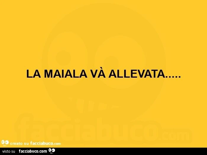 La maiala và allevata