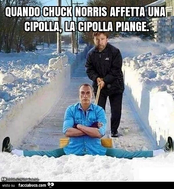 Quando chuck norris affetta una cipolla, la cipolla piange