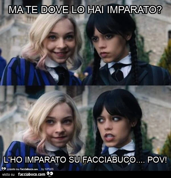 Ma te dove lo hai imparato? L'ho imparato su facciabuco… pov