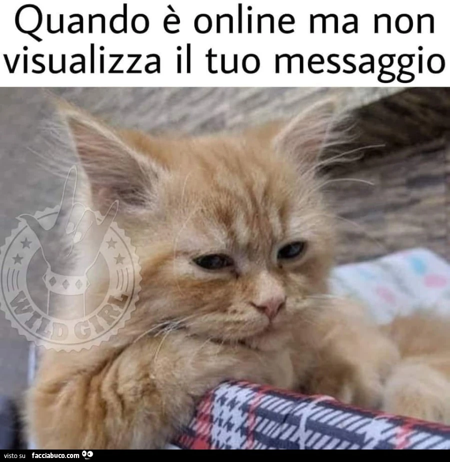 Quando è online ma non visualizza il tuo messaggio