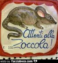 Vaccata