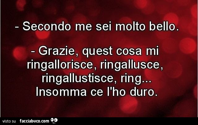 Secondo me sei molto bello. Grazie, quest cosa mi ringallorisce, ringallusce, ringallustisce, ring… insomma ce l'ho duro