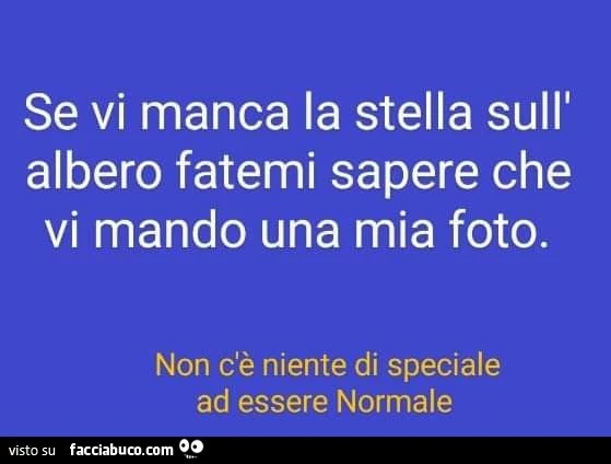 Se vi manca la stella sull' albero fatemi sapere che vi mando una mia foto