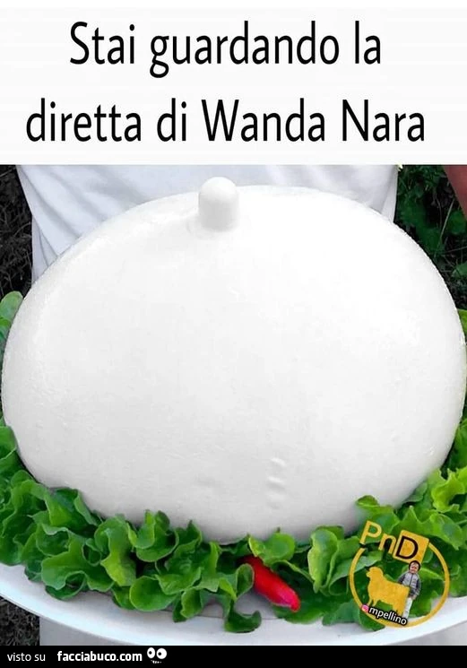Vaccata