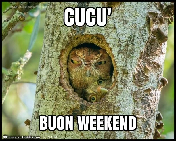 Cucù buon weekend