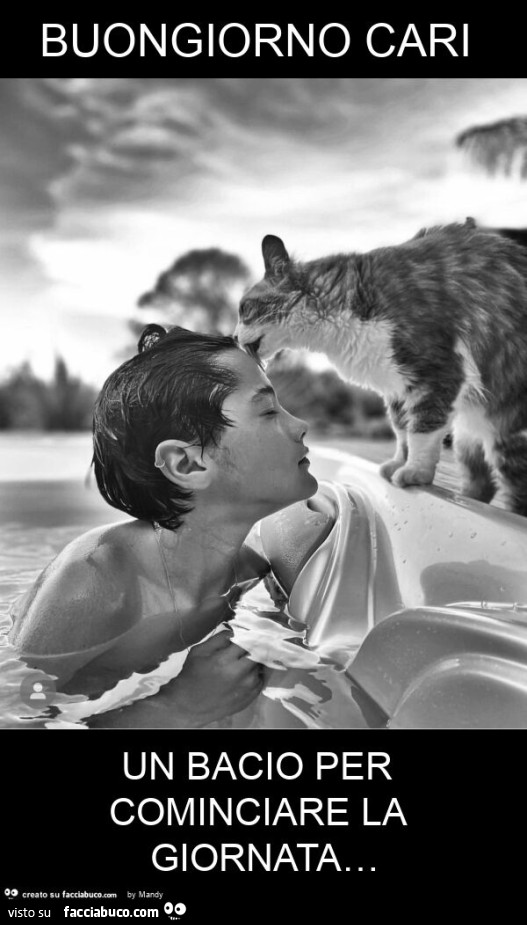 Buongiorno cari un bacio per cominciare la giornata…