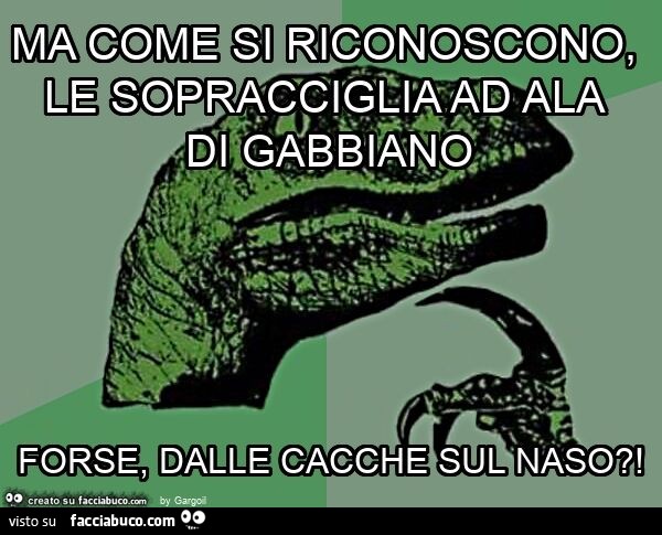 Ma come si riconoscono, le sopracciglia ad ala di gabbiano forse, dalle cacche sul naso?
