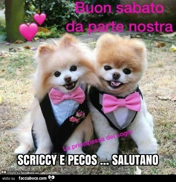 Scriccy e pecos &hellip; salutano
