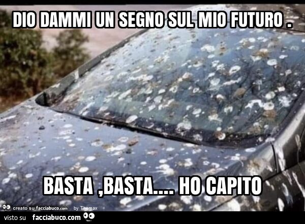 Dio dammi un segno sul mio futuro. Basta, basta… . Ho capito