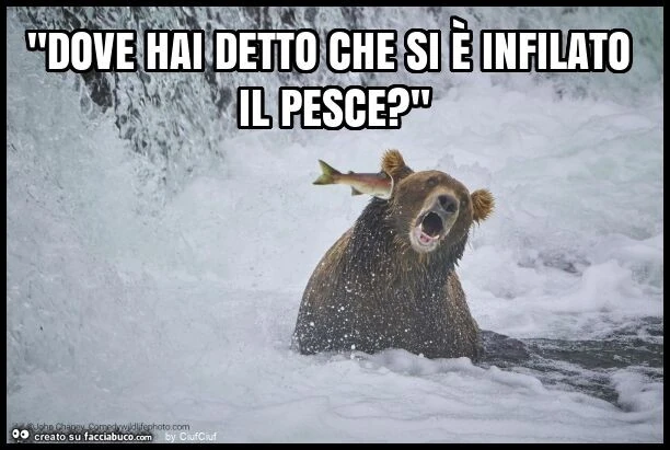 "dove hai detto che si รจ infilato il pesce? "