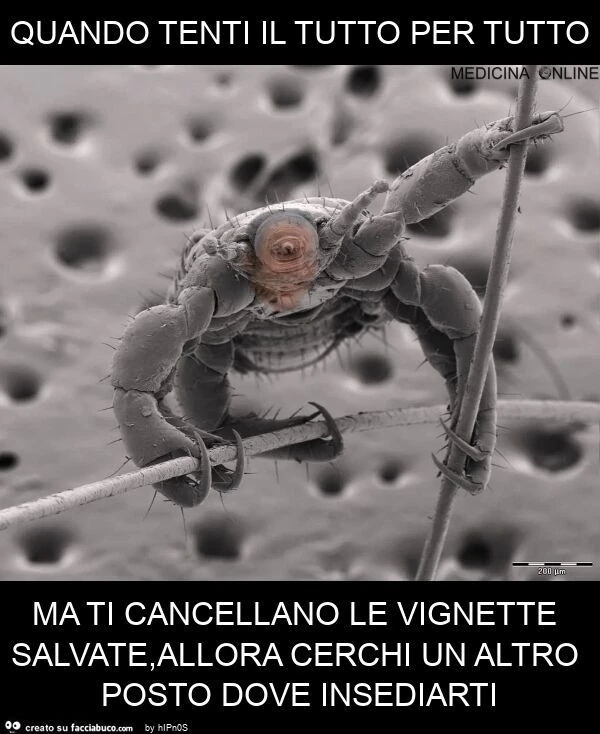 Quando tenti il tutto per tutto ma ti cancellano le vignette salvate, allora cerchi un altro posto dove insediarti