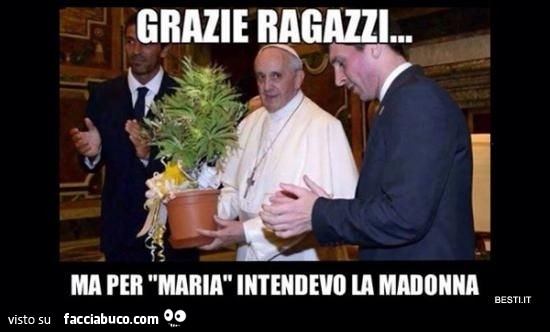 Vaccata