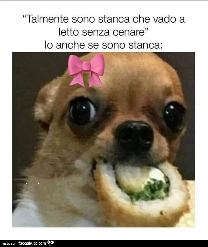 Vaccata