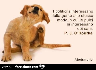 Politici