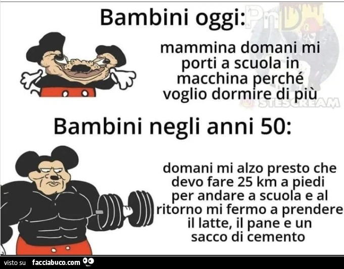Vaccata