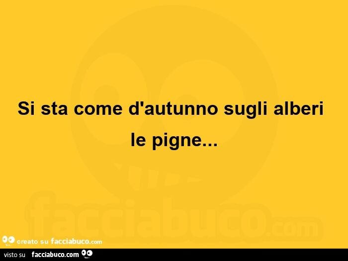 Si sta come d'autunno sugli alberi le pigne