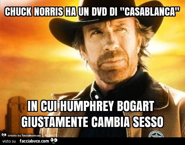 Chuck norris ha un dvd di "casablanca" in cui humphrey bogart giustamente cambia sesso