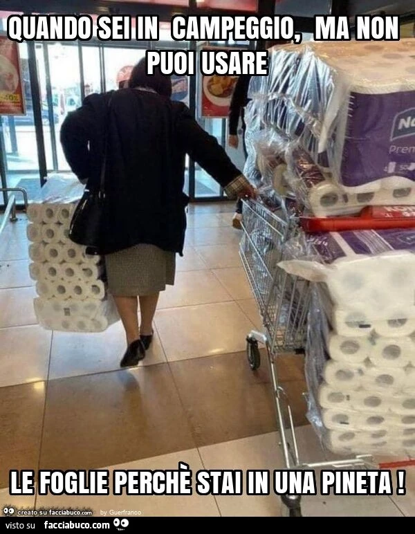 Quando sei in campeggio, ma non puoi usare le foglie perchè stai in una pineta