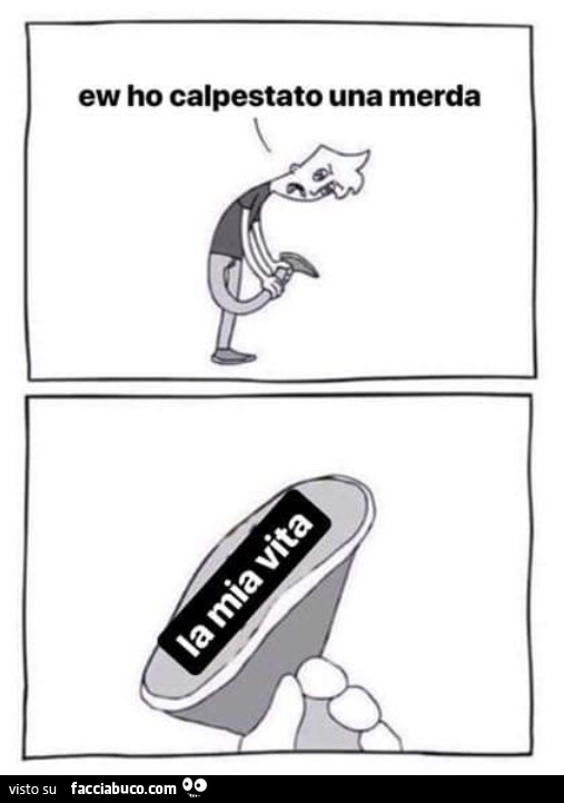 Ew ho calpestato una merda. La mia vita