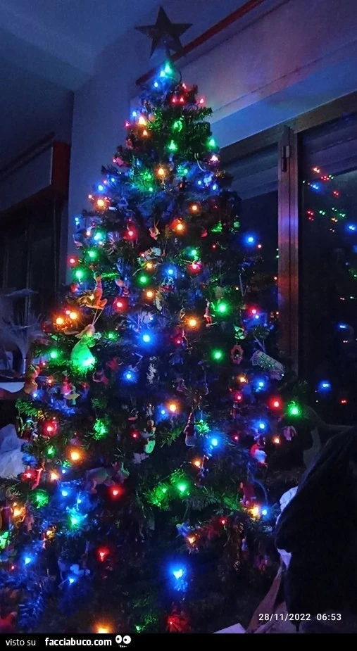 Buongiorno, albero di Natale fatto