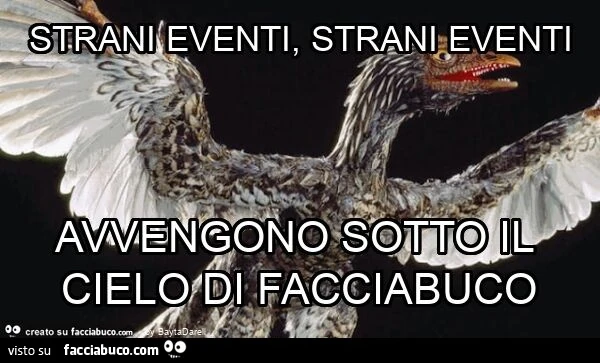 Strani eventi, strani eventi avvengono sotto il cielo di facciabuco