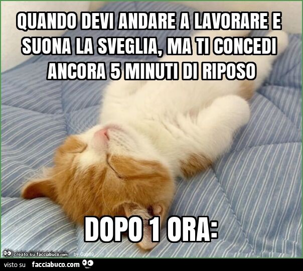 Quando devi andare a lavorare e suona la sveglia, ma ti concedi ancora 5 minuti di…